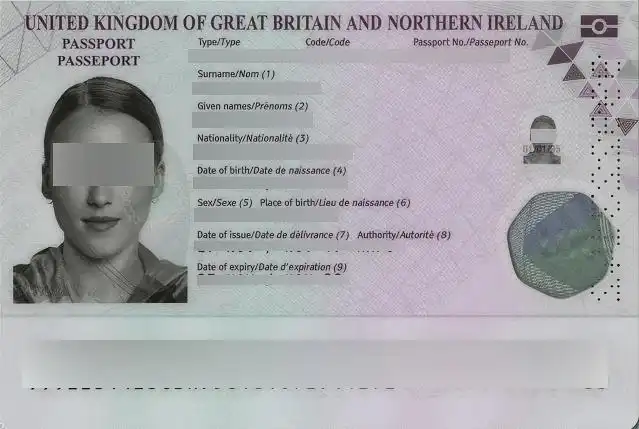 AI automatically detects and blurs sensitive passport information