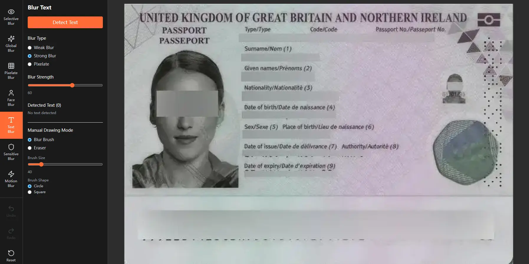 Manual Drawing Mode of Blur Text Tool